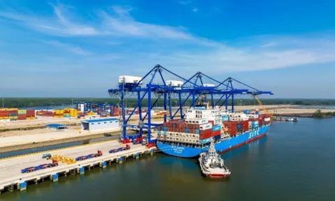 Cảng Phước An lỗ kỷ lục hơn 247 tỷ đồng trong nửa đầu năm 2025