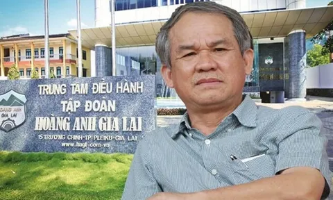 Lộ diện 6 trái chủ sắp trở thành cổ đông của Hoàng Anh Gia Lai