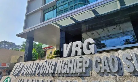 Tập đoàn Cao su Việt Nam báo lãi giảm sâu, có hơn 1.000 tỷ đồng nợ xấu