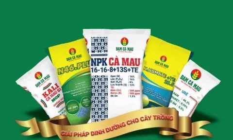 Nửa đầu năm 2023, Đạm Cà Mau giảm 80% lợi nhuận