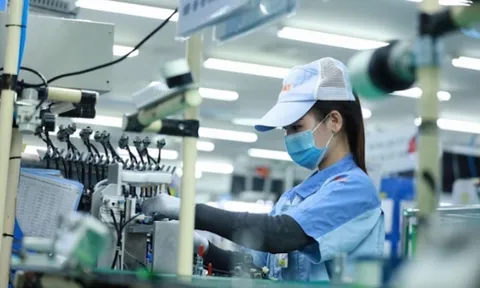 Chính phủ muốn làm nhanh thủ tục, sớm áp dụng thuế tối thiểu toàn cầu
