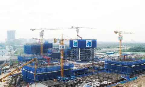 Thực lực tại Xây dựng Hòa Bình: Đòn bẩy nợ cao và rủi ro dòng tiền âm