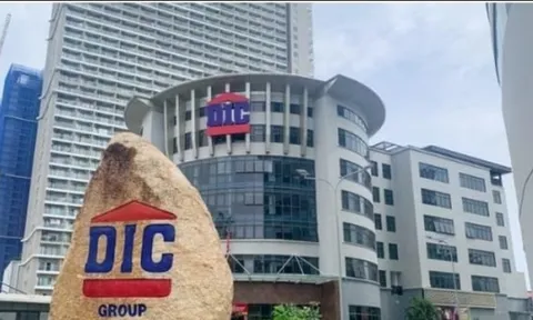Lợi nhuận DIC Corp lao dốc, hoàn thành được 4,7% so với kế hoạch năm