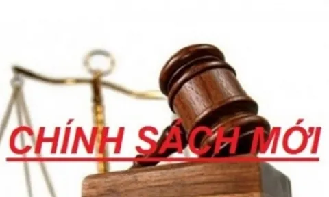 Loạt chính sách mới có hiệu lực từ tháng 8/2023