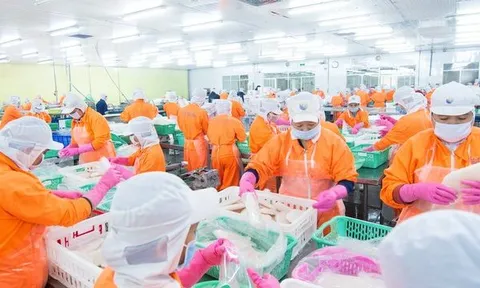 Đứt chuỗi 6 tháng liên tiếp có lãi, Thủy sản Nam Việt lỗ nặng