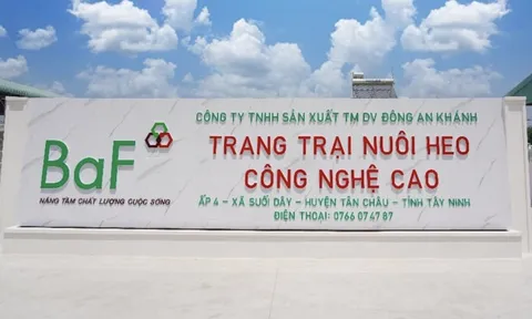 BAF thu lãi kỷ lục nhờ chăn nuôi heo, trắng doanh thu từ thương mại nông sản