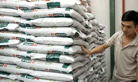 PVFCCo – Phú Mỹ ra mắt Hữu cơ Phú Mỹ Organic, hoàn thiện “Bộ ba vàng” dinh dưỡng cho nông nghiệp bền vững