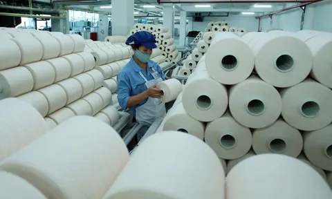 Chênh lệch tỷ giá đẩy Sợi Thế Kỷ lỗ quý thứ 2 liên tiếp