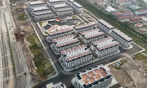 Tài chính Hoàng Huy lãi quý I/2025 chưa đầy 60 tỷ đồng, mới hoàn thành 3% kế hoạch năm