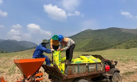 NPK Phú Mỹ gắn kết "Đất màu mỡ - Mía ngọt ngào”
