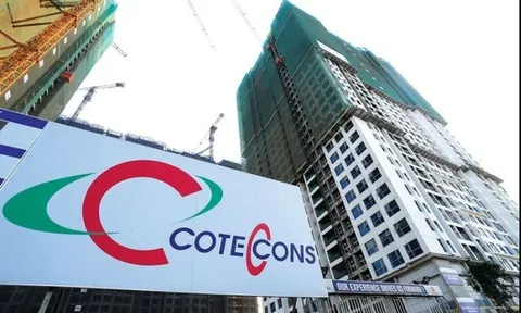 Doanh thu tăng, Coteccons vẫn thua lỗ vì khoản nợ khó đòi liên quan Tân Hoàng Minh