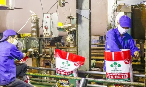 Lợi nhuận Supe Lâm Thao sụt giảm trong quý II/2022