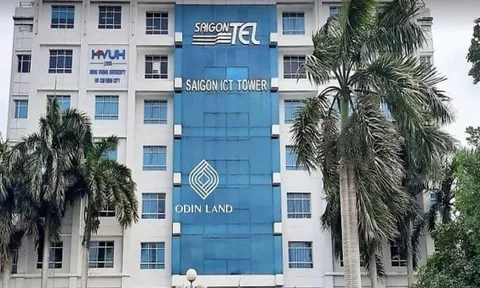 Lợi nhuận quý 2 của Saigontel giảm 80% so với cùng kỳ