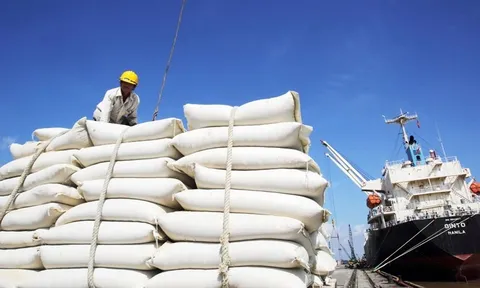 Bộ Công Thương yêu cầu doanh nghiệp báo cáo gấp lượng gạo tồn kho