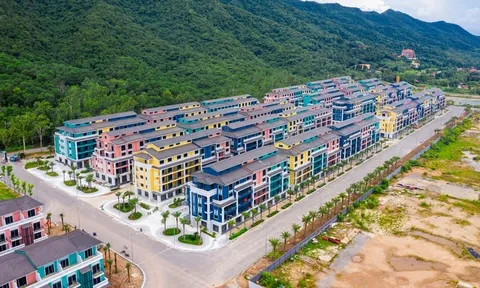 Lãi quý II của CEO Group giảm 61%