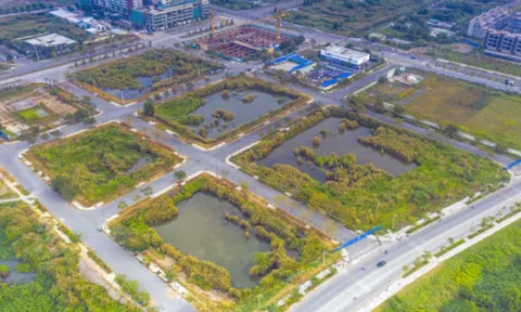 Cục Thuế Tp.HCM nói về hướng xử lý đối với 2 doanh nghiệp trúng đấu giá đất Thủ Thiêm