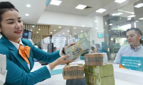 Bức tranh lợi nhuận ngân hàng Việt Nam nửa đầu năm 2025