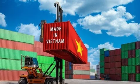 Mỹ áp thuế đối ứng 20%: Điểm tên những mặt hàng Việt Nam chịu nhiều áp lực