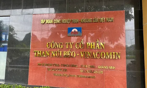 Than Núi Béo: Nợ hơn 2.100 tỷ, vốn lưu động âm gần 800 tỷ