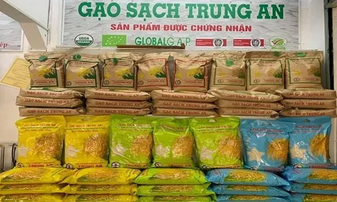 Gạo Trung An nối dài chuỗi thua lỗ