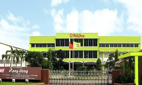 Rạng Đông Holding miễn nhiệm Tổng giám đốc Hà Thanh Thiên