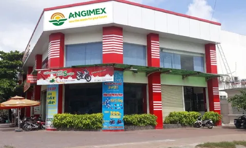Angimex (AGM) nói gì về việc cổ phiếu tăng trần 10 phiên liên tiếp?
