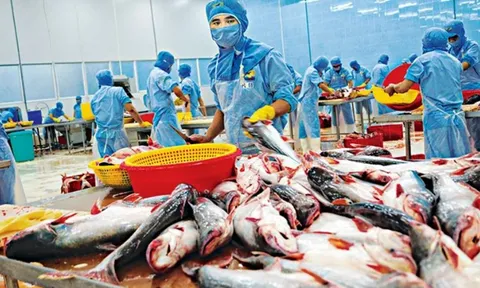 Chi phí tăng đè lợi nhuận xuống, DN thuỷ sản trong chuỗi ngày trầm lắng