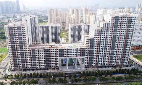 Công ty Thuận Việt, New City Thủ Thiêm, nợ thuế, Thuế Tp.HCM
