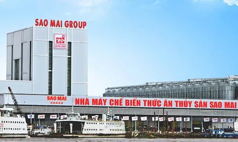 Sao Mai báo lãi teo tóp, tiền mặt “bốc hơi” một nửa