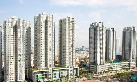 Công ty thâu tóm Nova Nippon báo lỗ triền miên, 1 đồng vốn 8 đồng nợ