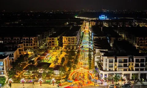 Thành phố Thiên niên kỷ T&T City Millennia bừng sáng trước đại nhạc hội