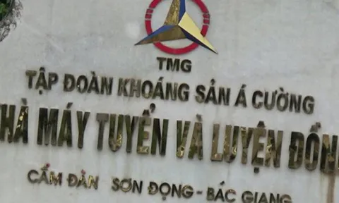Khoáng sản Á Cường bị phạt 250 triệu đồng