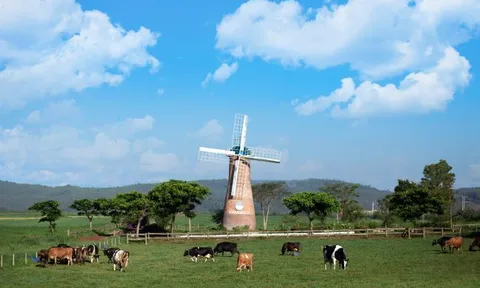 Cụm trang trại bò sữa Vinamilk Đà Lạt được vinh danh tại Giải thưởng Môi trường Việt Nam