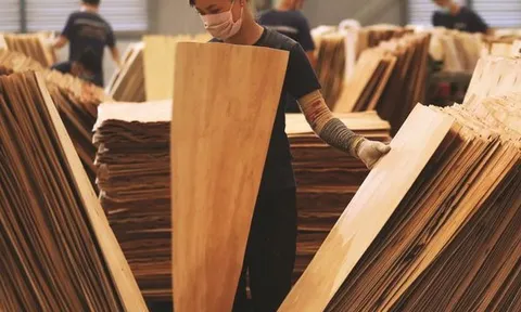 “Khám" sức khỏe của loạt doanh nghiệp ngành gỗ