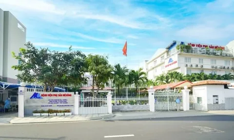 Bệnh viện phụ sản Mêkông, Du lịch Thành Thành Công và nhiều doanh nghiệp nợ thuế lớn