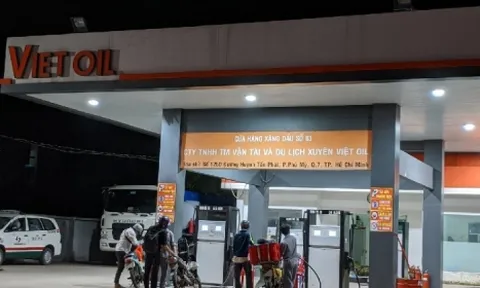 7 doanh nghiệp đầu mối xuất nhập khẩu xăng dầu bị tước giấy phép