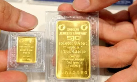 Giá vàng hôm nay 11/8: Giá bán vàng miếng SJC lùi dần về mốc 66 triệu đồng/lượng