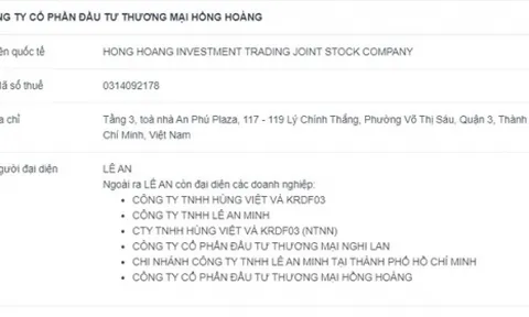 Công bố thông tin sai thời hạn, Công ty Hồng Hoàng bị phạt