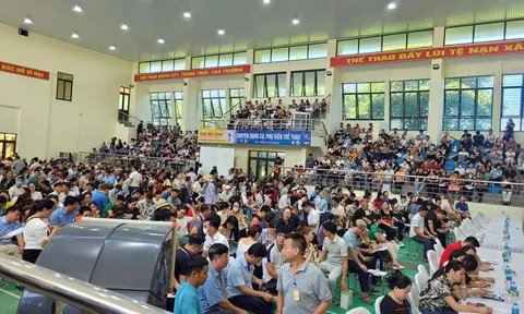 Buổi đấu giá kỷ lục ở Hà Nội: Hơn 7.000 hồ sơ, 1.600 người tranh mua 68 lô đất