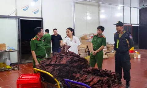 Vụ 'thịt trâu gác bếp' Hà Giang giả: Công ty vốn 500 triệu, thu lợi 100 tỷ đồng