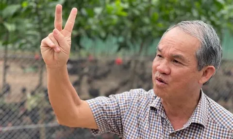 Thương vụ "cha bán - con mua" hàng trăm tỷ đồng tại HAGL của gia đình bầu Đức