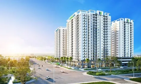 Lũy kế 6 tháng Đầu tư I.P.A giảm hơn 22% dù lợi nhuận quý 2 tăng mạnh