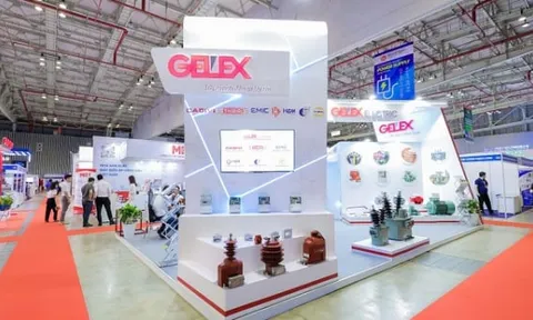 Điện lực Gelex chốt quyền chia cổ tức bằng tiền mặt, tỷ lệ 30%
