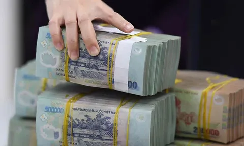 Nợ thuế, Công ty Alpha Apus bị dừng làm thủ tục hải quan