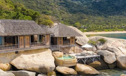 Ninh Vân Bay thoát lỗ, lãnh đạo DNP đồng loạt xin rút khỏi HĐQT