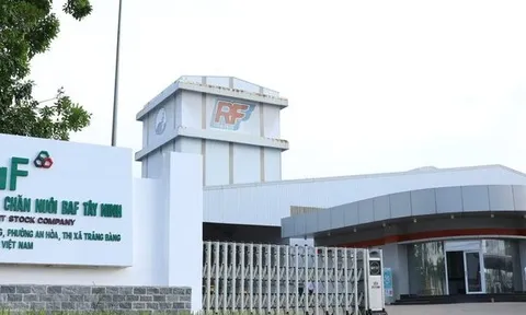 Tình hình vay nợ của BAF trước khi phê duyệt khoản vay 500 tỷ đồng