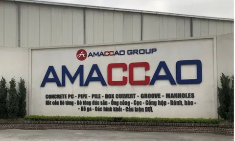 'Qua cửa' gói thầu 8.100 tỷ Sân bay Long Thành, tiềm lực Vinadic trong tay 'ông chủ' Amaccao ra sao?