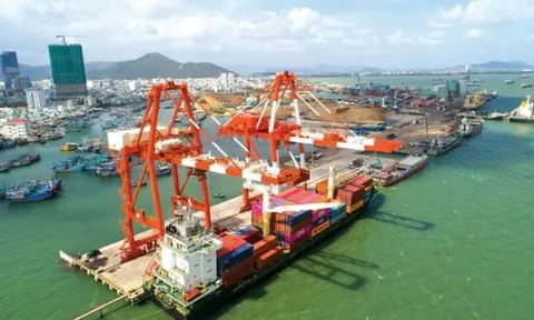 Cảng quốc tế Vạn Ninh tăng vốn điều lệ lên 900 tỷ đồng sau khi Vinaconex thoái hết vốn