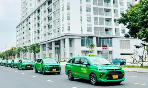 Công ty con của Tập đoàn Mai Linh nợ thuế