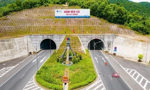 Giao thông Đèo Cả dùng 800 tỷ đồng từ chào bán cổ phiếu vào việc gì?
